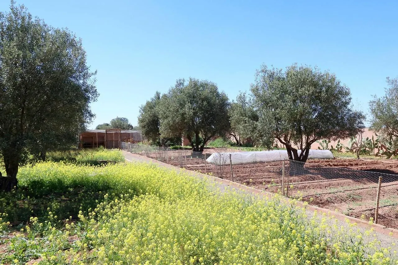 מרקש Villa Kristy